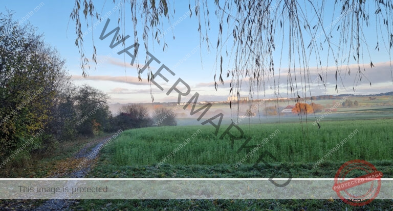 LB Nebelbilder 043