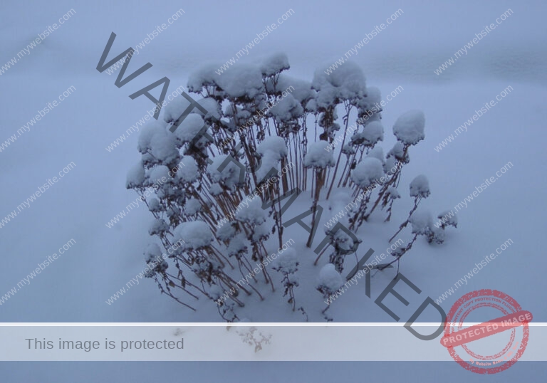 LB Schnee 01