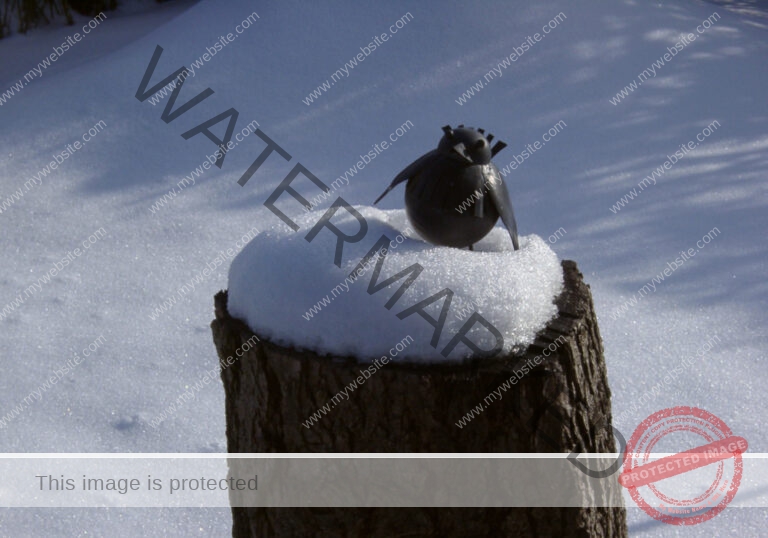 LB Schnee 05