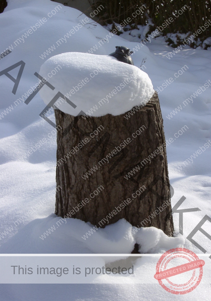 LB Schnee 06