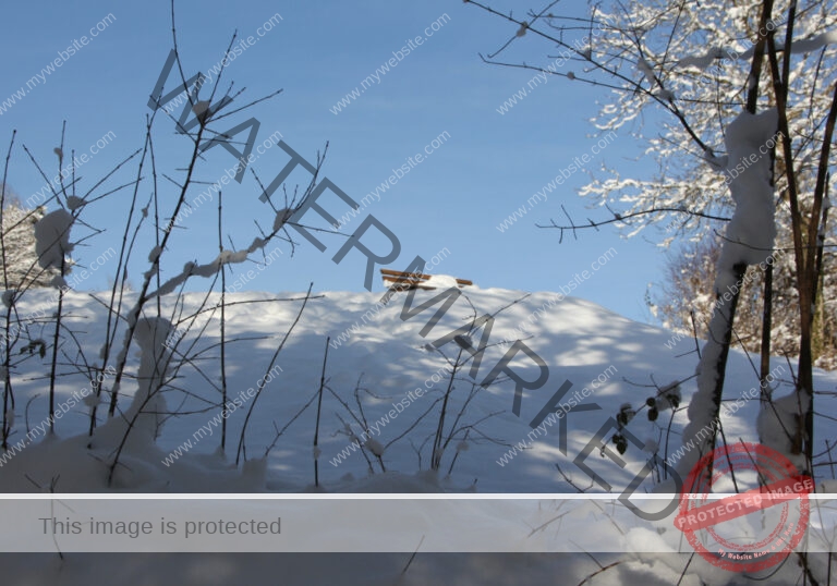LB Schnee 07