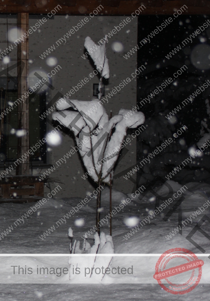 LB Schnee 01