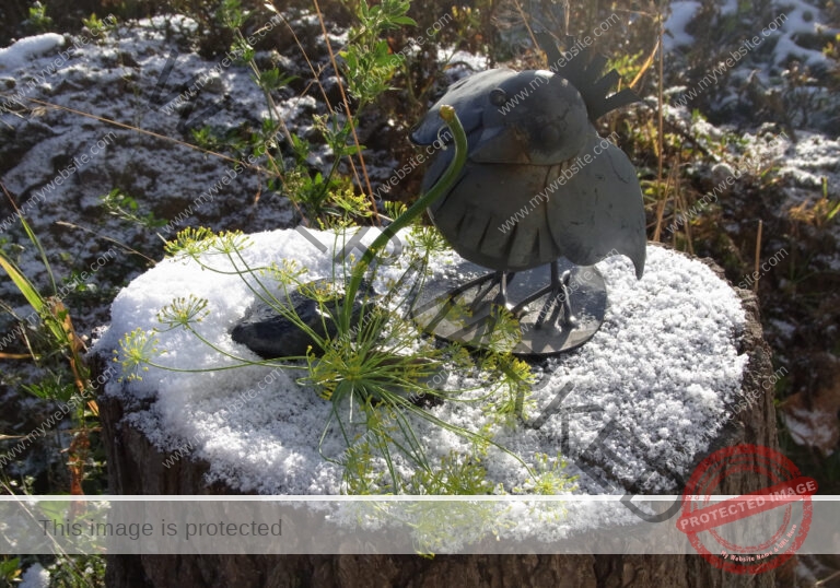 LB Schnee 15
