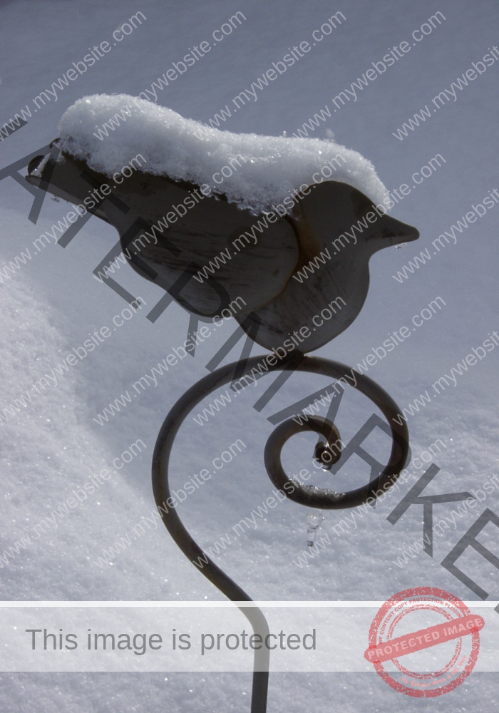 LB Schnee 17