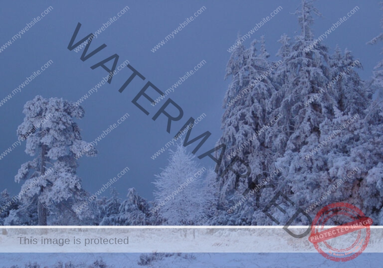LB Schnee 22