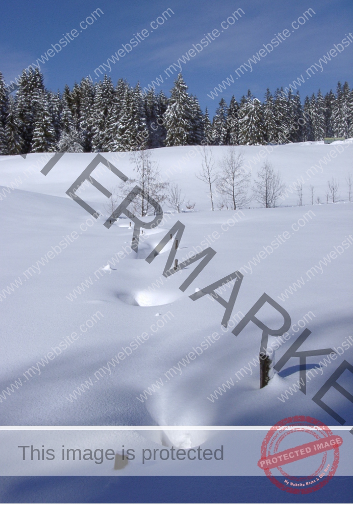 LB Schnee 28