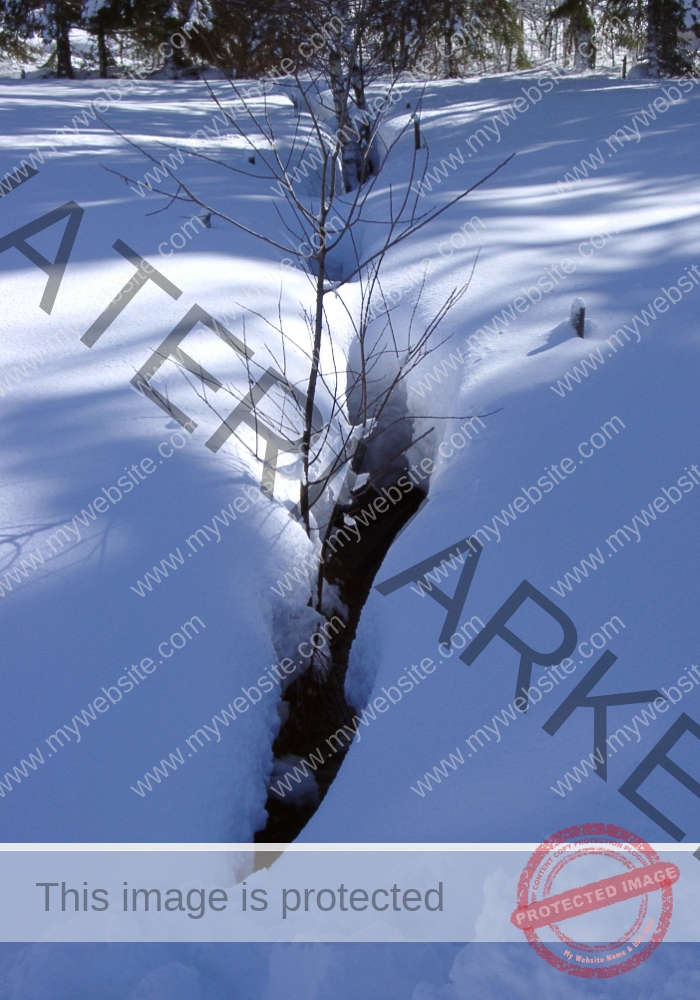 LB Schnee 29