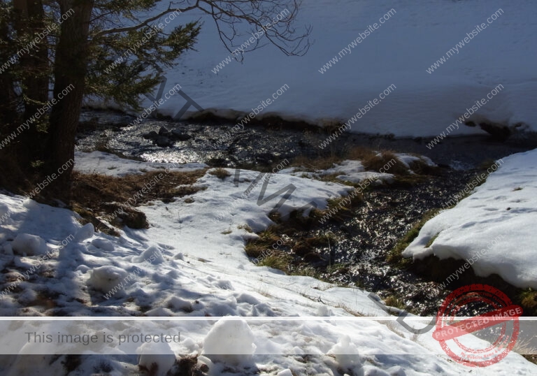 Ultental, Dez. 2011