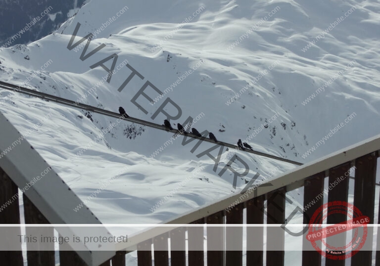 Chamonix, Feb. 2016