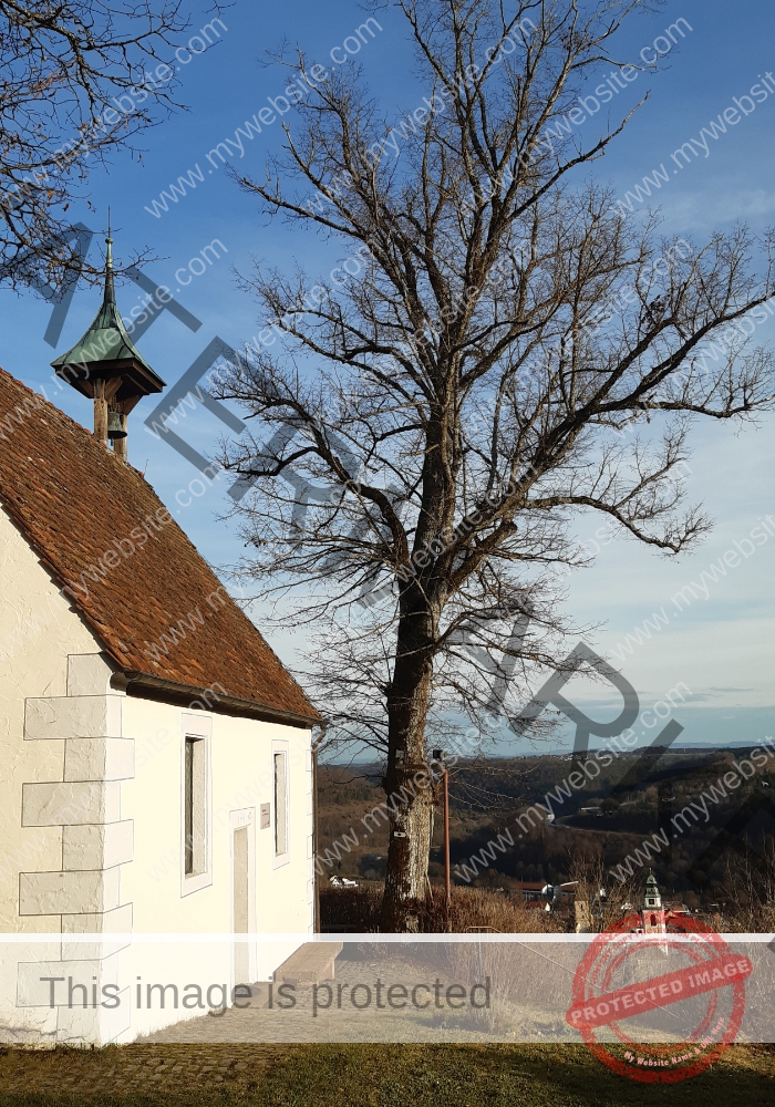 ruh -Schütte 118