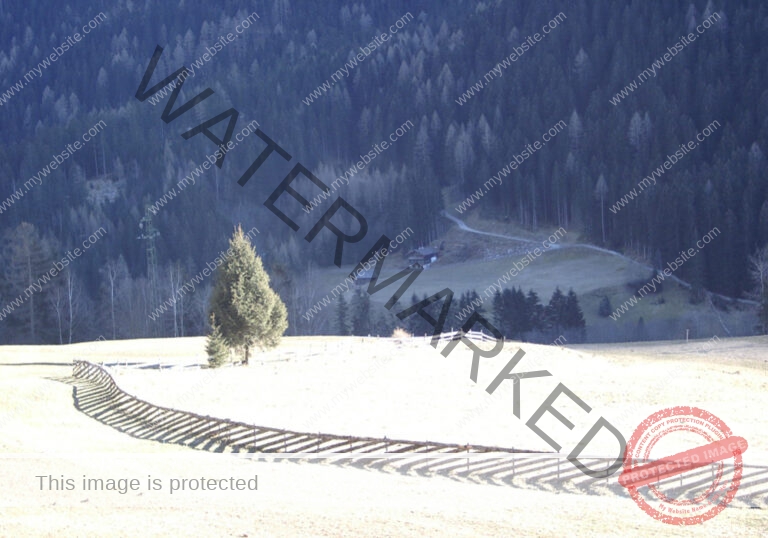 Bäume im Urlaub 003, Winter