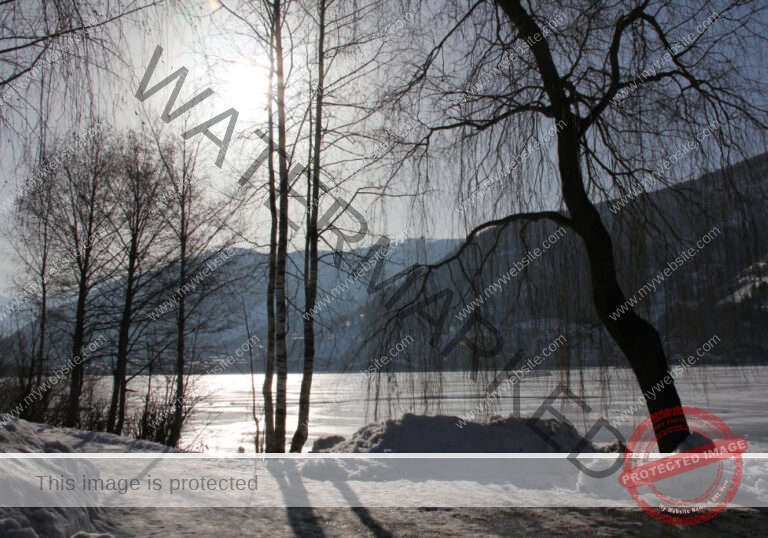 Bäume im Urlaub 014, Winter