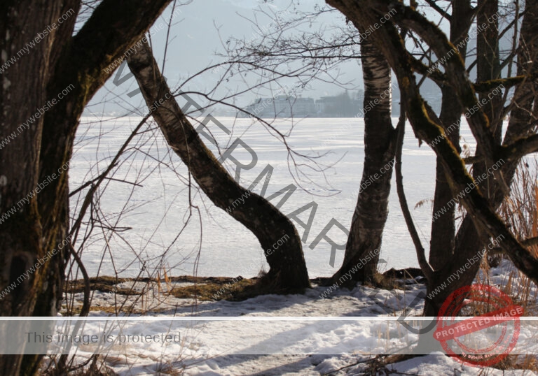 Bäume im Urlaub 016, Winter