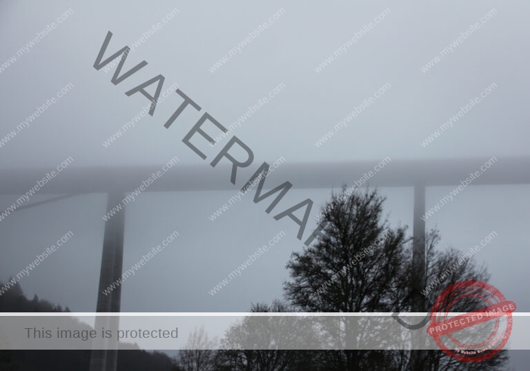 Bäume im Urlaub 017, Winter