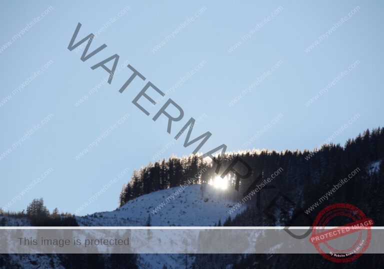 Bäume im Urlaub 019, Winter