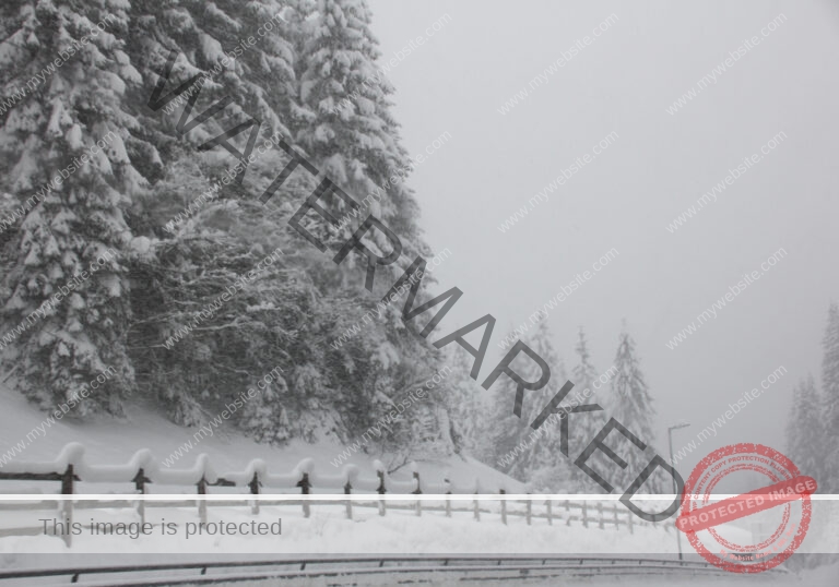 Bäume im Urlaub 020, Winter