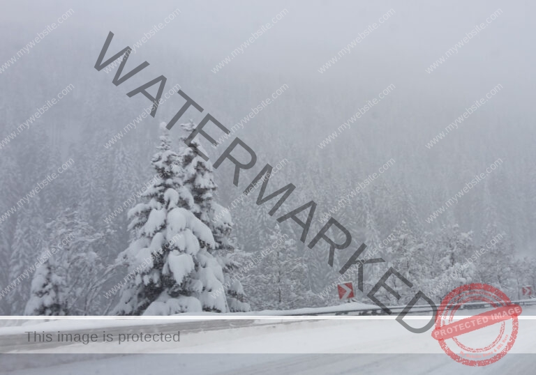 Bäume im Urlaub 021, Winter