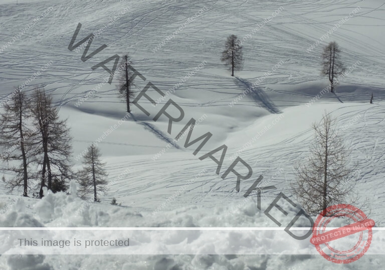 Bäume im Urlaub 024, Winter