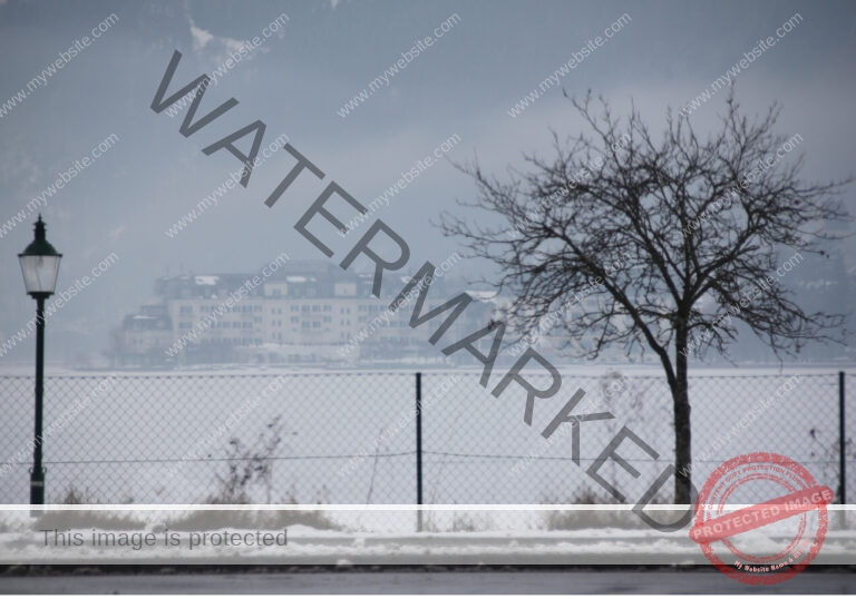 Bäume im Urlaub 025, Winter
