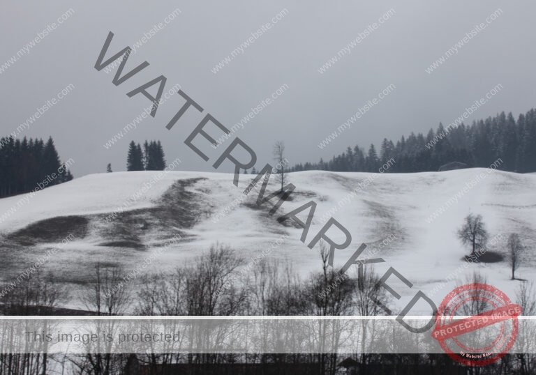Bäume im Urlaub 026, Winter