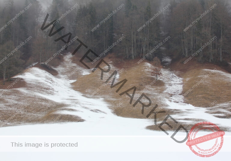 Bäume im Urlaub 027, Winter