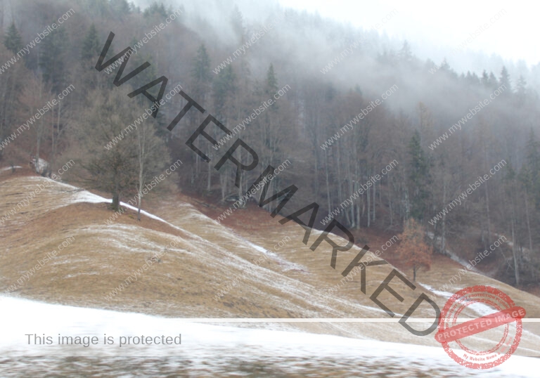 Bäume im Urlaub 028, Winter