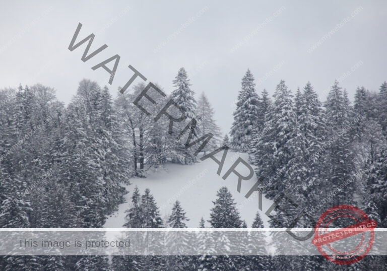 Bäume im Urlaub 029, Winter