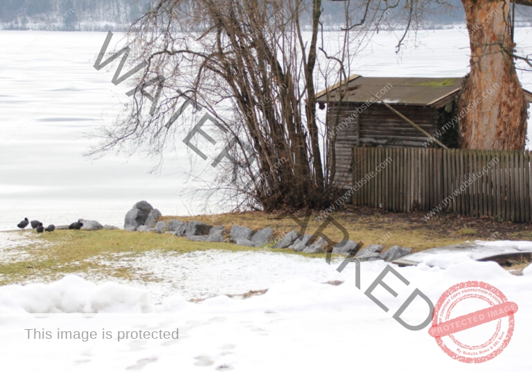 Zell am See, Feb. 2017, Heimfahrt