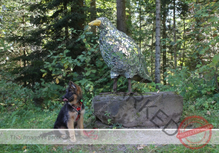 LB 2019-09-18 Krabbenweg