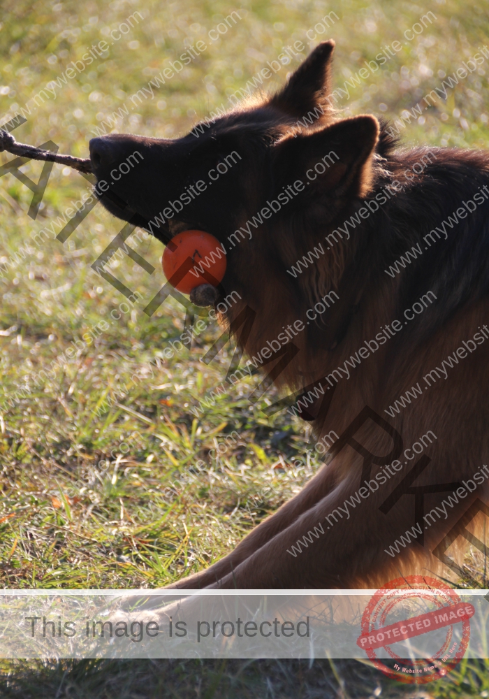 LB 2020-11-28 Ball zerrend