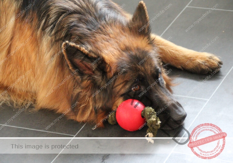 LB 2021-06-27 Ball neben Nase