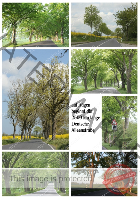 01 bilder rügen alleen neu (Mittel)