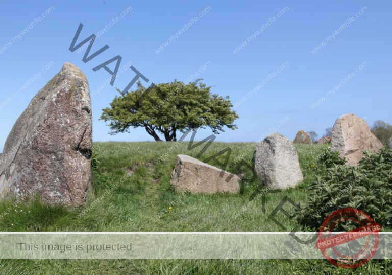 Bäume im Urlaub 11, Frühling Rügen 2015
