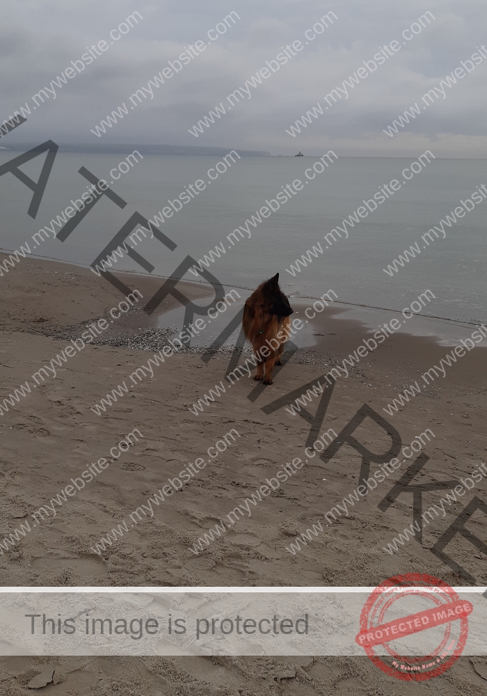 Urlaub Frühling 02 Binz-Rügen, Eyka Mai 2022