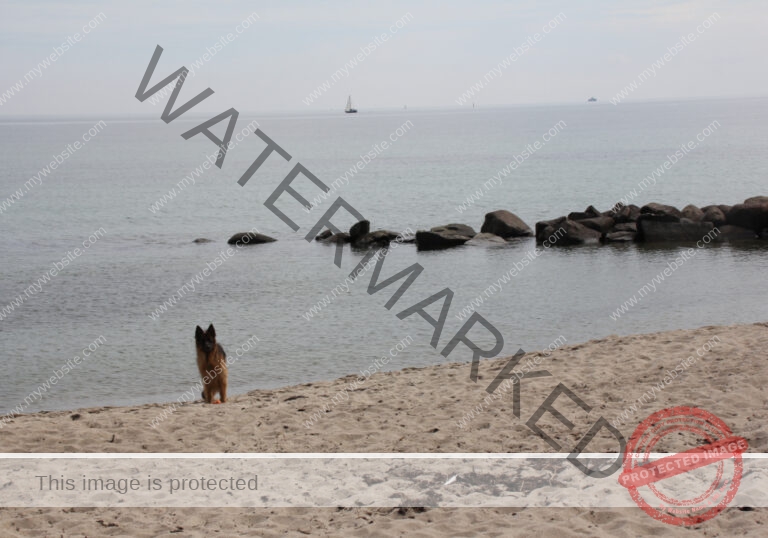 Urlaub Frühling 03 Binz-Rügen, Eyka Mai 2022