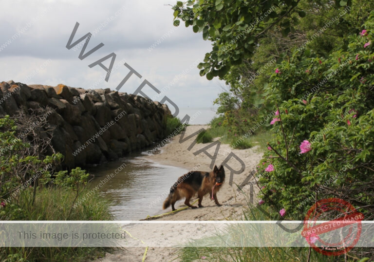 Urlaub Frühling 04 Binz-Rügen, Eyka Mai 2022