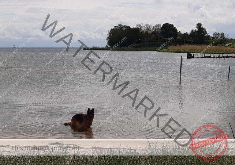 Urlaub Frühling 07 Binz-Rügen, Eyka Mai 2022