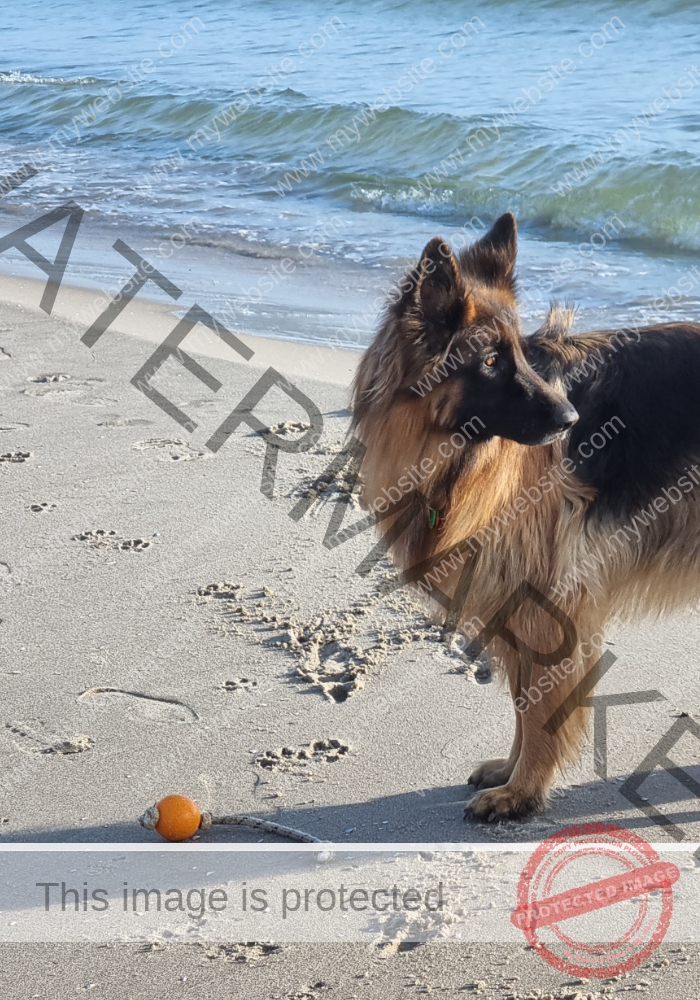 Urlaub Frühling 08 Binz-Rügen, Eyka Mai 2022