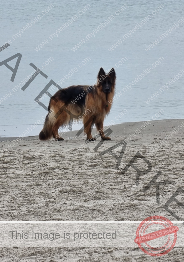Urlaub Frühling 09 Binz-Rügen, Eyka Mai 2022