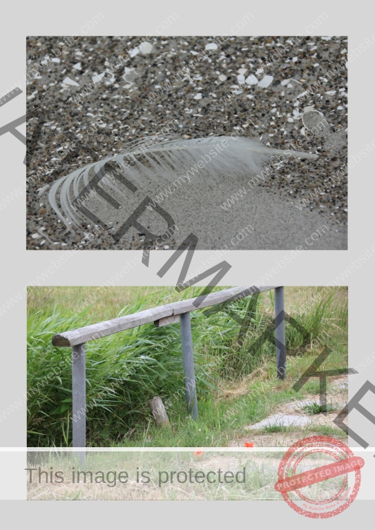 03 Strand4 (Mittel)