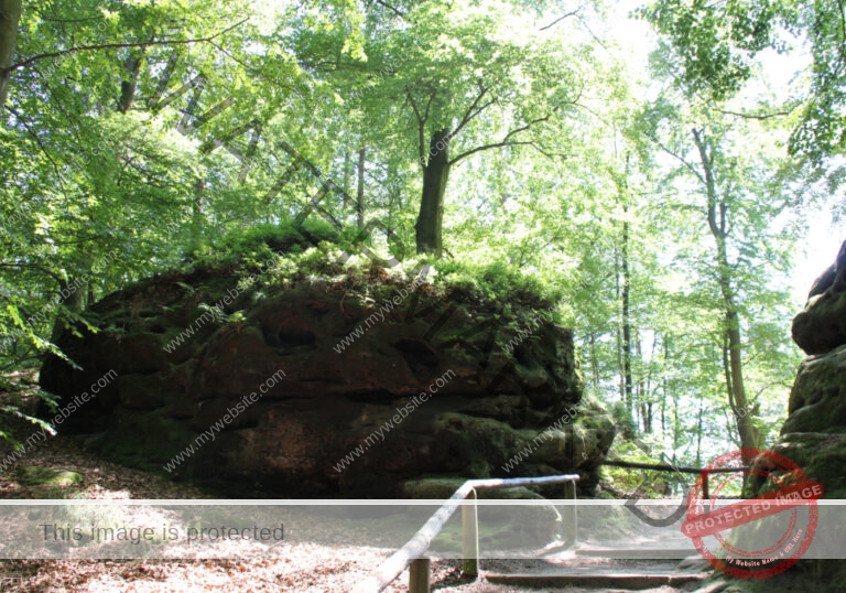 Bäume im Urlaub 005, Frühsommer