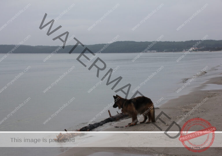 Urlaub Frühling 17 Binz-Rügen, Eyka Mai 2022