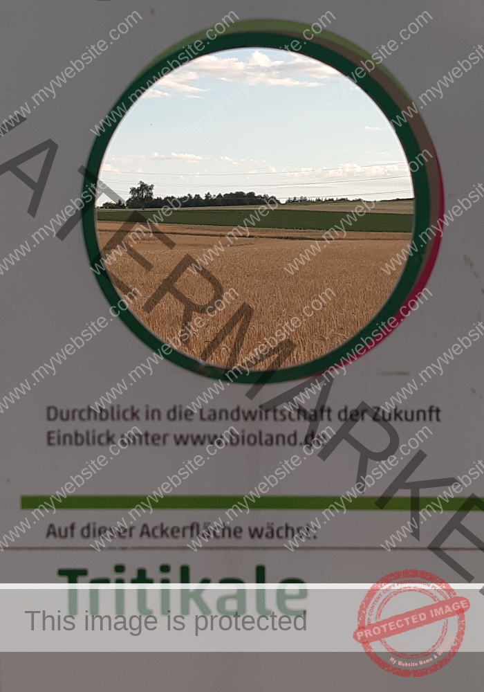 ruh -Schütte 190