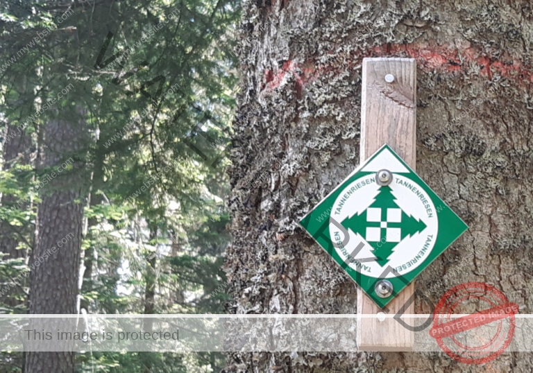 Lauterbad 07