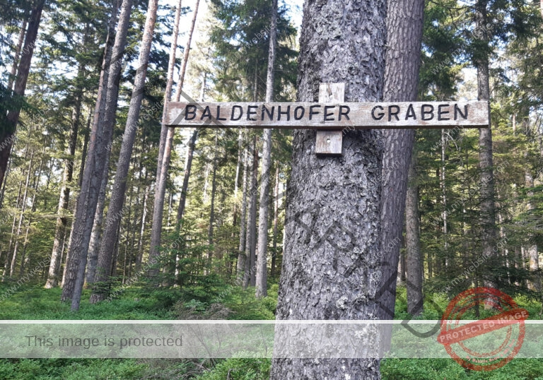 Lauterbad 12