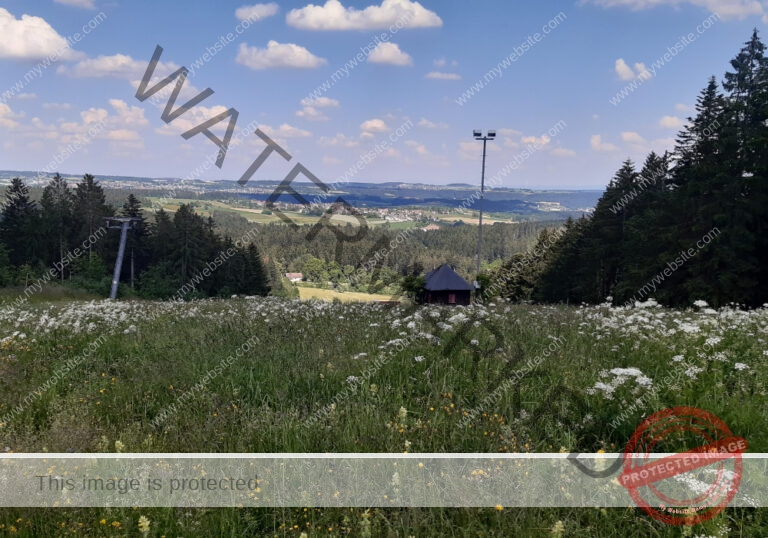 Lauterbad 15