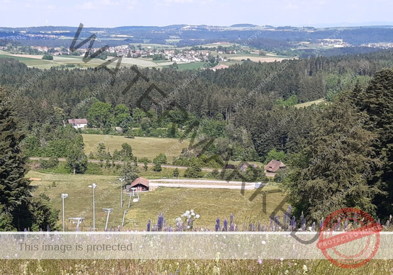 Lauterbad 19