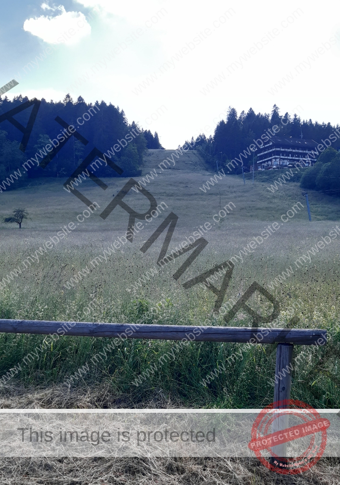 Lauterbad 28