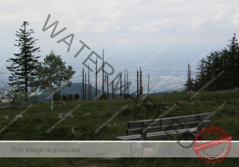 Hornisgrinde-Mummelsee, 3x - 03