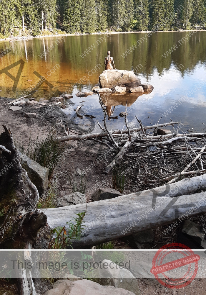 Hornisgrinde-Mummelsee, 3x - 46